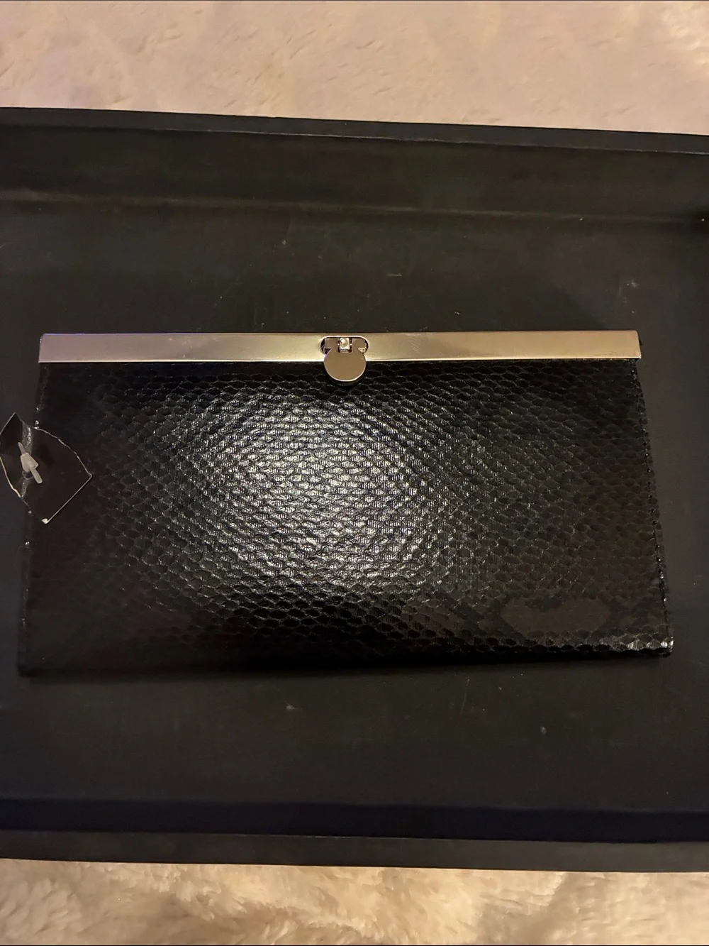 Black Faux Snakeskin Clutch with Silver Frame